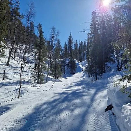 Tokkapirtti B2 Log Near Center In A Peaceful Neighbourhood *