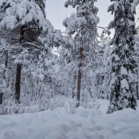 Appartement Tokkapirtti B2 Log Near Center In A Peaceful Neighbourhood Levi