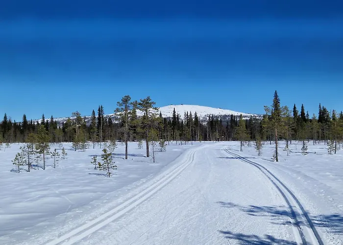 Tokkapirtti B2 Log Near Center In A Peaceful Neighbourhood 公寓