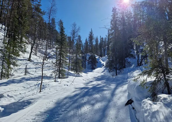 Tokkapirtti B2 Log Near Center In A Peaceful Neighbourhood *